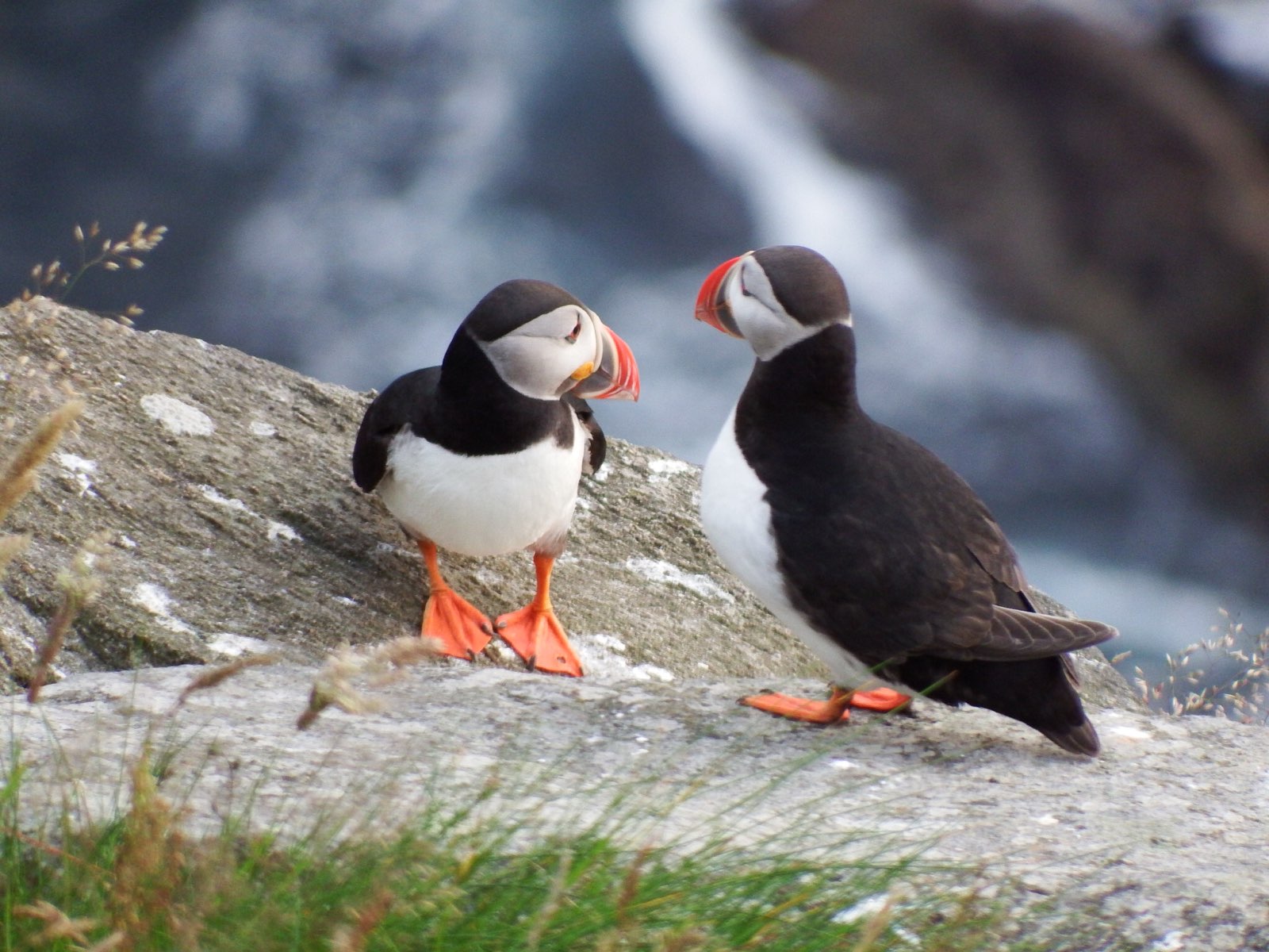 ©TanjaBernhardi ©TanjaBernhardi