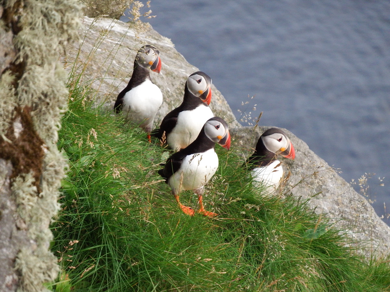 ©TanjaBernhardi ©TanjaBernhardi